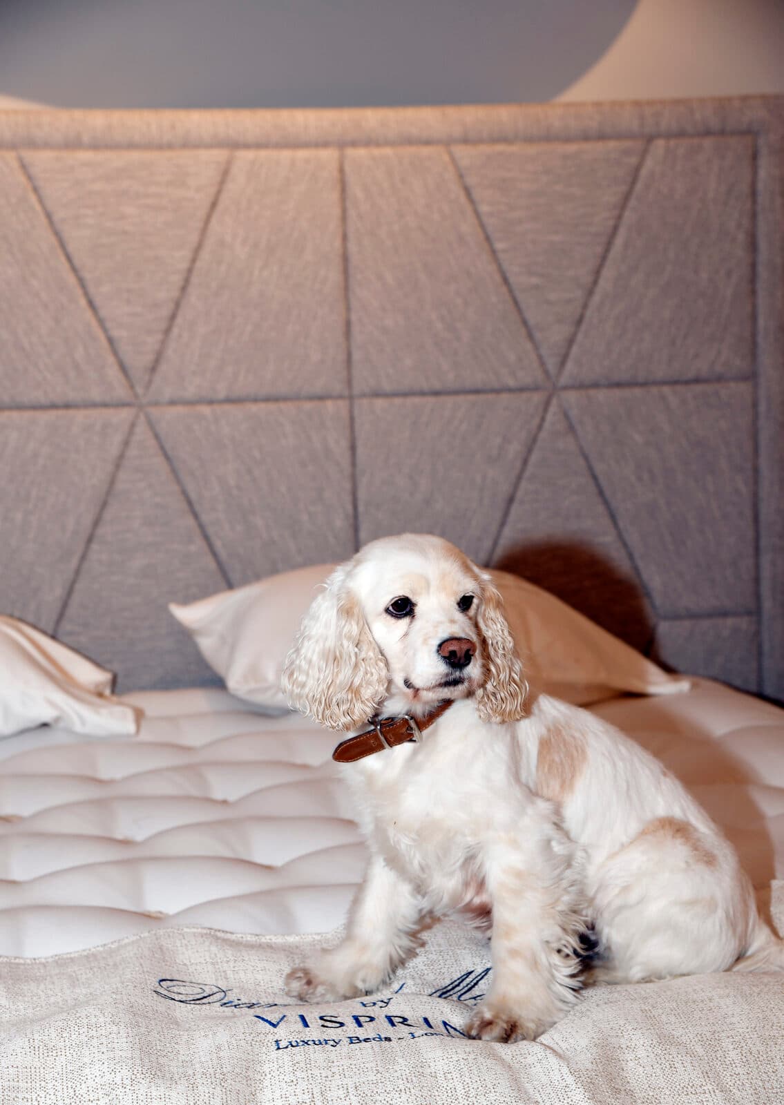 Manufakturbett vs. Standard-Boxspring: der ehrliche Vergleich